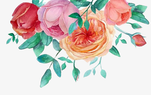 500x316 Watercolor Flowers, Watercolor Clipart, Flower, Chinese Rose Png - Chinese Watercolor Flowers