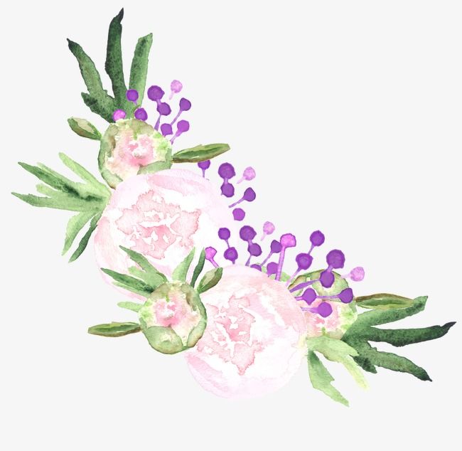 650x634 Flowers,hand Painted,hand Painted Flowers,falling,peony,chinese - Chinese Watercolor Flowers