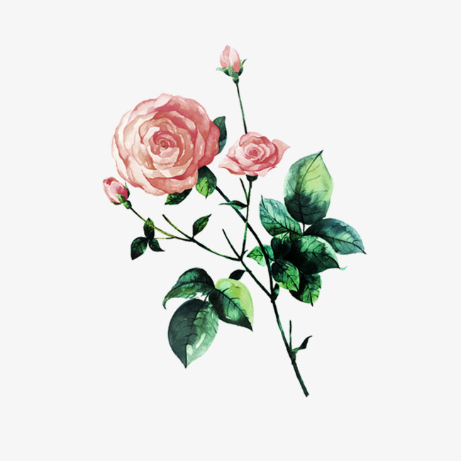 650x651 Aesthetic Ink Chinese Wind Rose, Ink Rose, Hand Painted Flowers - Chinese Watercolor Flowers