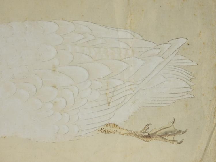 Chinese Watercolor Paper