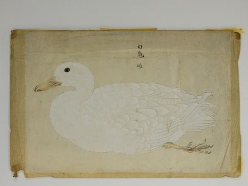 500x375 18c Chinese Watercolor Paper Peking Duck Painting By Bruneau Amp Co - Chinese Watercolor Paper