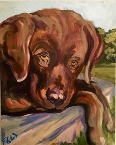 236x296 Chocolate Lab Painting - Chocolate Lab Watercolor