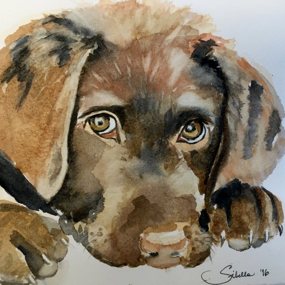 570x570 Chocolate Lab Puppy Watercolor Painting - Chocolate Lab Watercolor