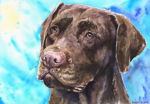 300x209 Chocolate Labrador Print Of The Original Watercolor Painting - Chocolate Lab Watercolor