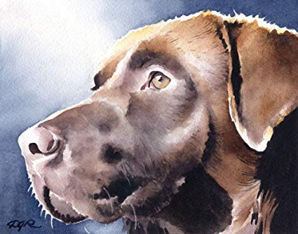 425x334 Chocolate Lab Watercolor Art Print Signed By Artist - Chocolate Lab Watercolor