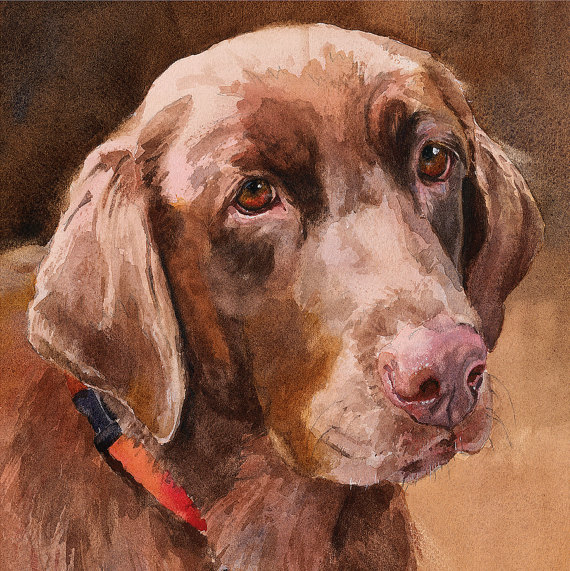 570x571 Chocolate Labrador Retrieverprint Of Watercolor Dog Painting - Chocolate Lab Watercolor