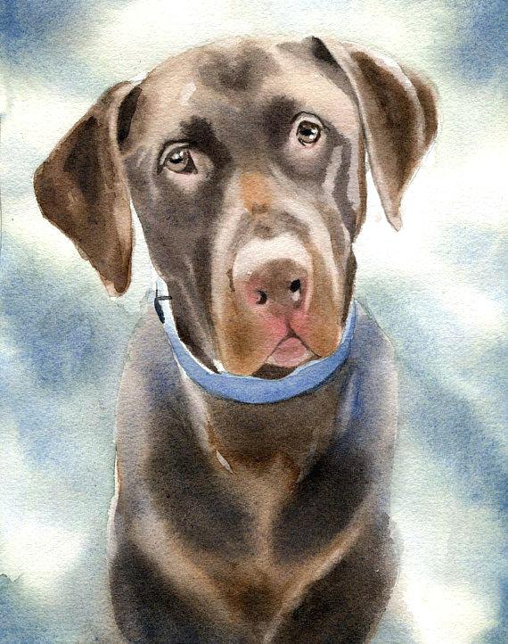 570x722 Decked Out Chocolate Lab I Painting Oil Paintings Smbapps.co - Chocolate Lab Watercolor