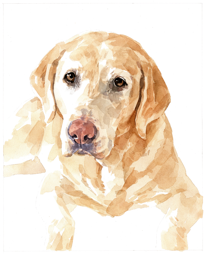 689x850 Dog Watercolor Gallery - Chocolate Lab Watercolor