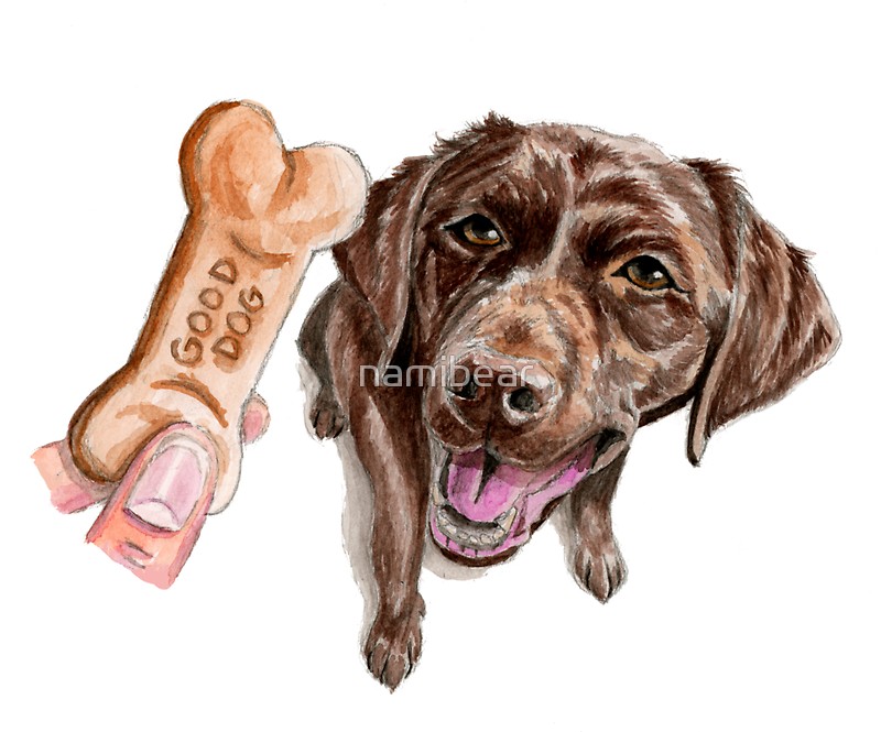 800x665 Good Dog Chocolate Lab Watercolor Painting Stickers By Namibear - Chocolate Lab Watercolor
