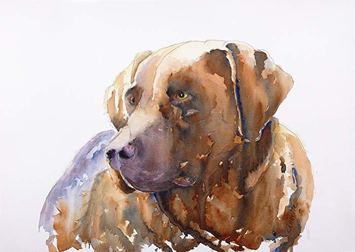 700x498 Chocolate Lab Original Watercolor Paiting In Canvas Or - Chocolate Lab Watercolor