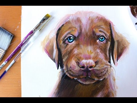 480x360 Painting Cute Chocolate Labrador Retriever Puppy Rachel Rie - Chocolate Lab Watercolor