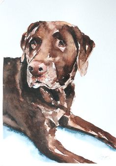 236x337 Dog Painting Watercolor - Chocolate Lab Watercolor