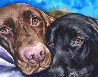 340x270 Black Lab Watercolor Etsy - Chocolate Lab Watercolor