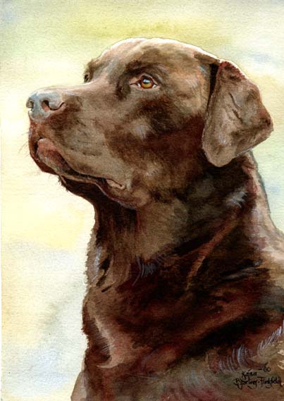 403x569 Brown Labrador By Flingling - Chocolate Lab Watercolor