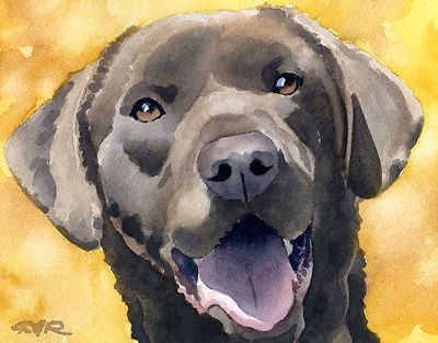 400x313 Chocolate Lab Watercolor 11 X 14 Art Print Signed By Artist Djr - Chocolate Lab Watercolor