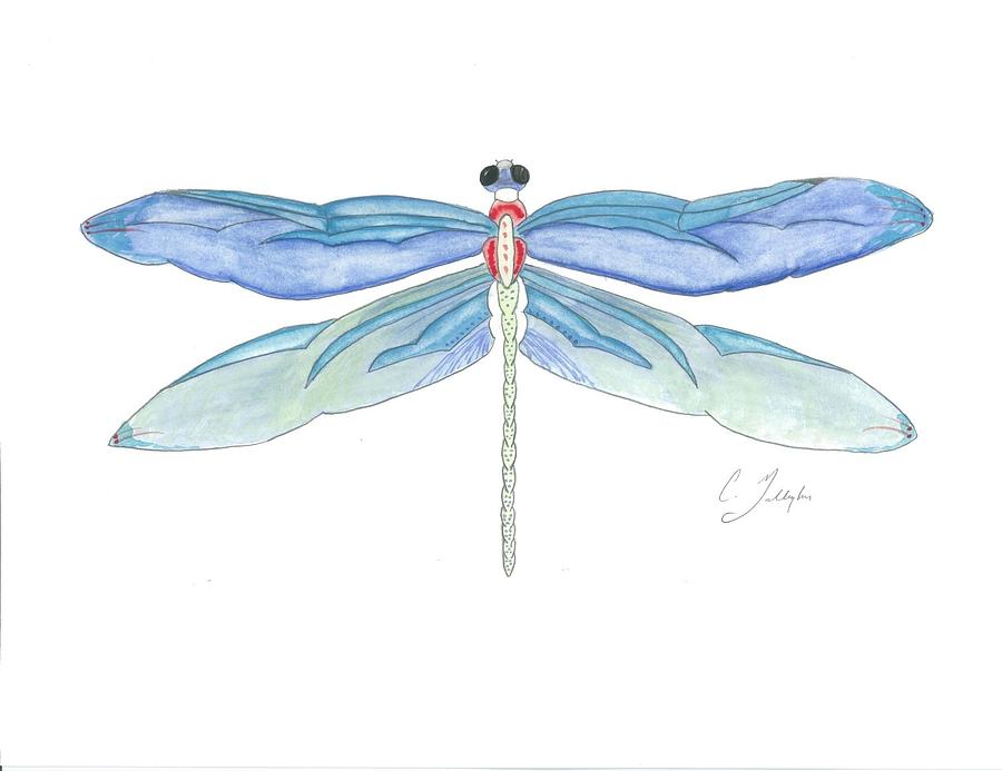 900x693 Original Dragonfly Watercolor Painting Painting By Christian Galligher - Christian Watercolor