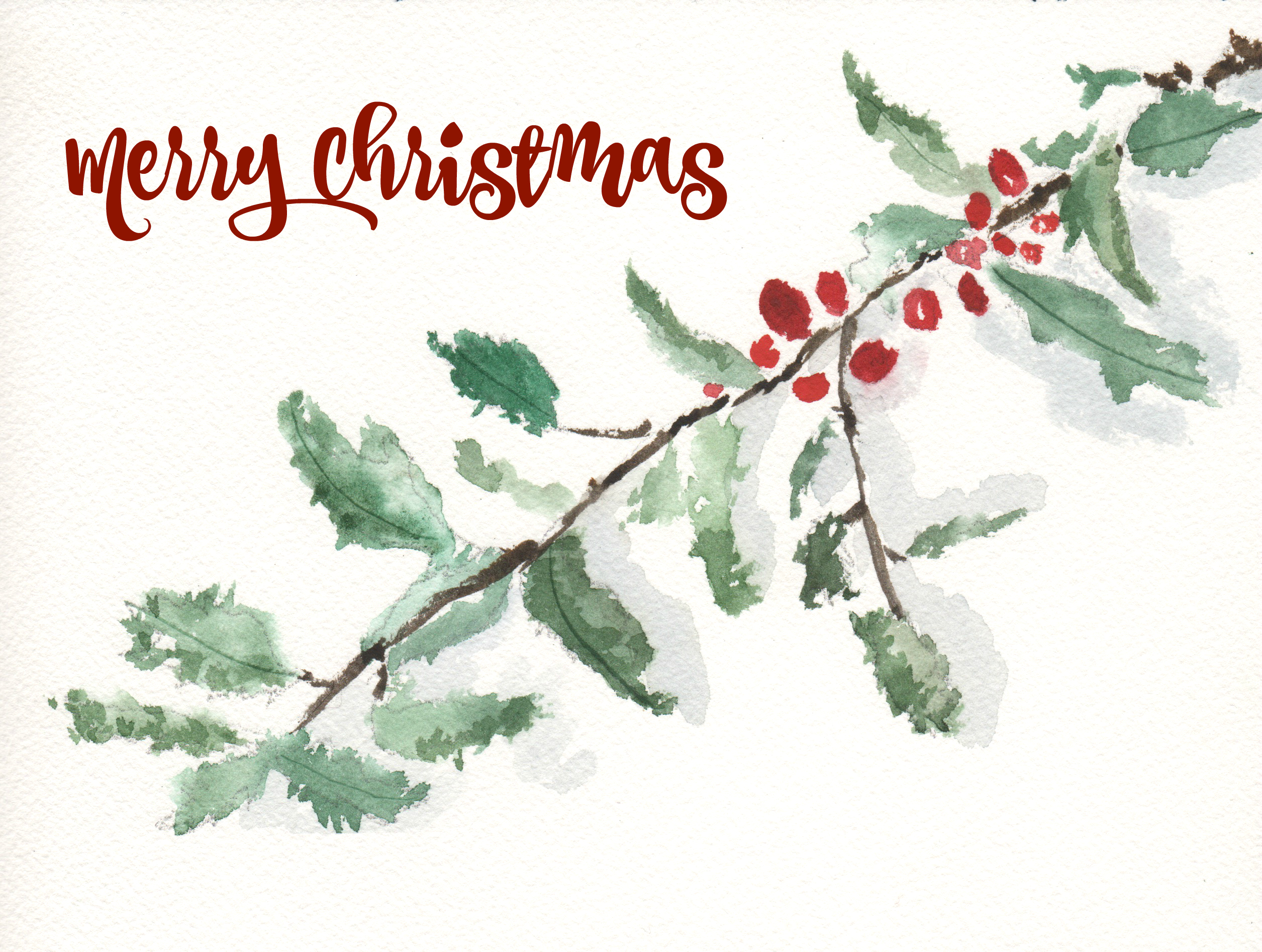 2511x1895 Holly Watercolor (Free Printable) - Christmas Watercolor