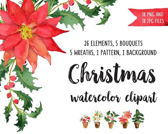 570x456 Christmas Watercolor Clip Art Poinsettia Clipart Watercolor Bundle - Christmas Watercolor Clipart