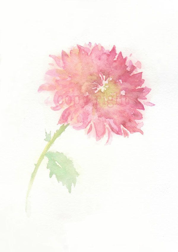 600x851 Fine Art Watercolor Painting, Flower Art, Pink Chrysanthemum - Chrysanthemum Watercolor