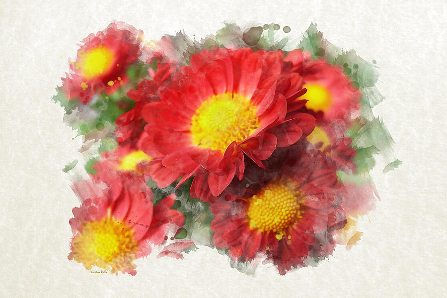 900x600 Chrysanthemum Watercolor Art Mixed Media By Christina Rollo - Chrysanthemum Watercolor