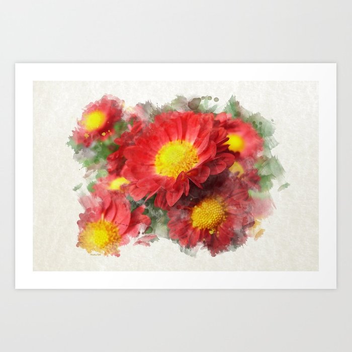 700x700 Chrysanthemum Watercolor Painting Art Print By Christinarollo - Chrysanthemum Watercolor