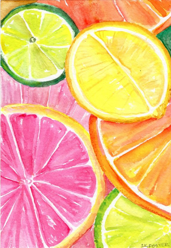 570x825 Citrus Watercolors Paintings Ruby Red Grapefruit Lemon Etsy - Citrus Watercolor