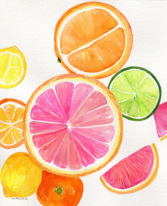 570x700 Citrus Watercolor Painting Original 8 X 10 Tutti Frutti Grapefruit - Citrus Watercolor