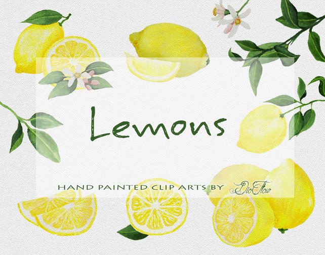 642x504 Lemon Clipart Fruit Clipart Lemon Citrus Watercolor Fruits Etsy - Citrus Watercolor