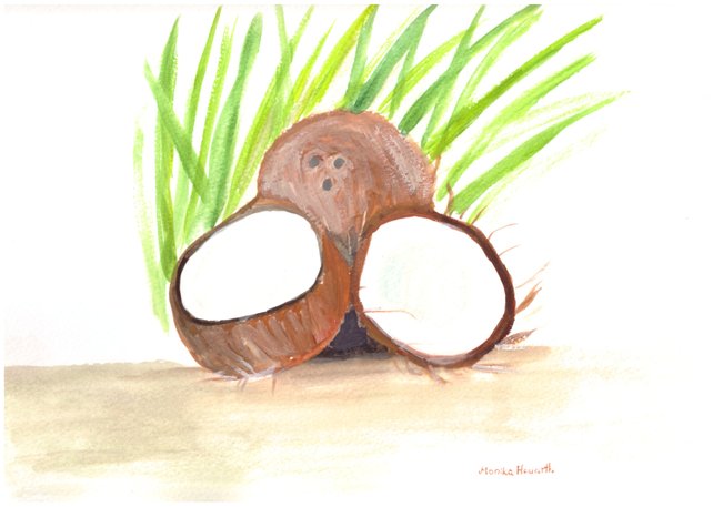 642x457 Coconut Watercolor Painting Coconuts Painting Art Fruit Etsy - Coconut Water Color