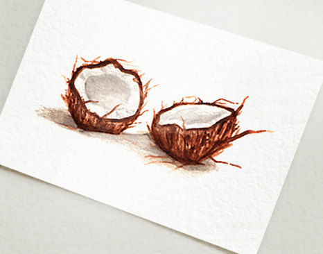466x366 Coconuts Watercolor Art Print Postcard Par Esquize Sur Etsy - Coconut Water Color