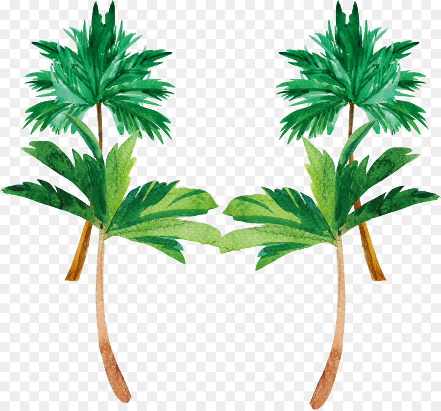 900x840 Download Tree Coconut Watercolor Painting Plant Watercolor Hand - Coconut Water Color