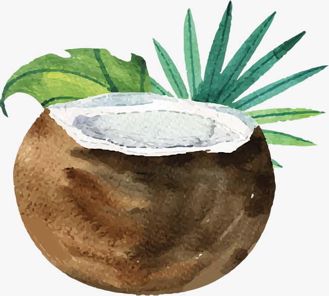 Coconut Water Color at PaintingValley.com | Explore collection of ...