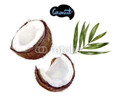 400x347 Coconut Watercolor Illustration Buy Photos Ap Images Detailview - Coconut Water Color