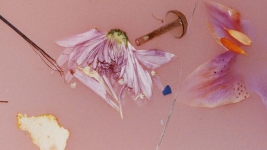 532x299 Colored Baths Tumblr - Colored Bath Water