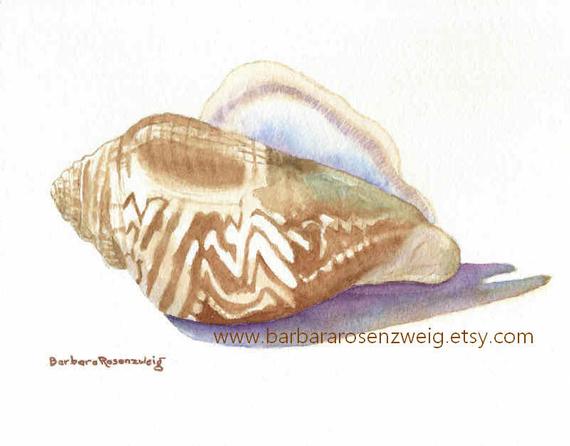 570x446 Original Art Seashell Painting Conch Shell Wall Art Etsy - Conch Shell Watercolor