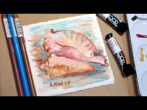 480x360 Watercolor Seashell {Conch Shell} Painting Tutorial Easy! - Conch Shell Watercolor