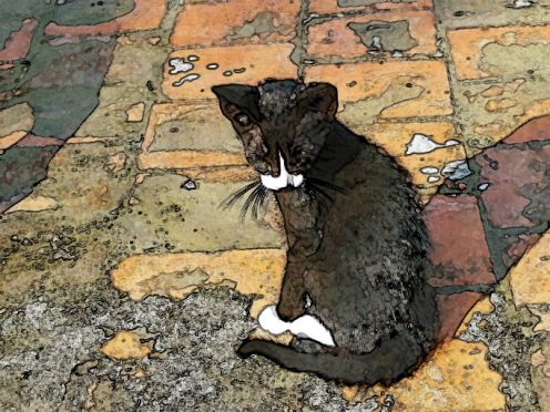 496x372 Photoshop Tutorial 1 How To Convert Your Photos Into Watercolor - Convert Image To Watercolor