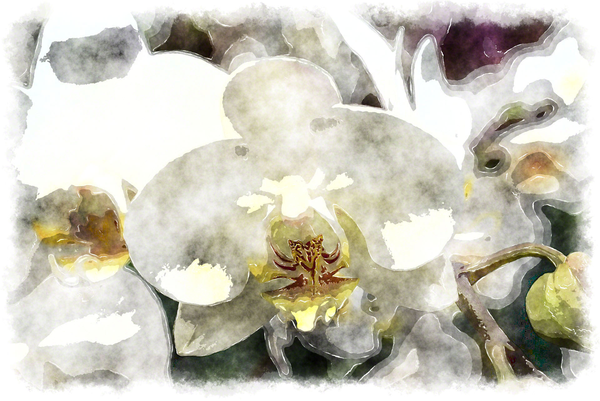 1920x1285 Watercolor Orchids, Watercolor Paintings Of Beautiful Orchids - Convert Image To Watercolor