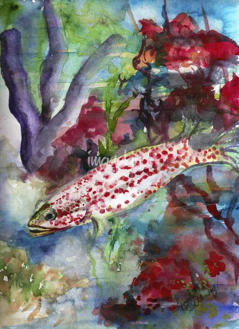 473x650 Ocean Life Coral Reef Fish Watercolor By Ginette Callaway - Coral Reef Watercolor