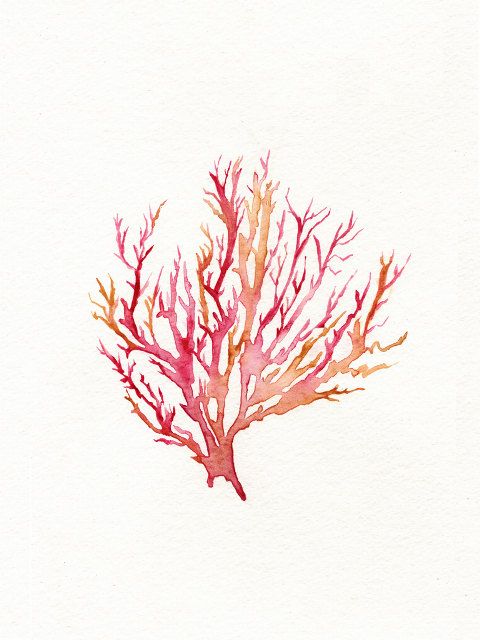 480x640 No. 3 Sea Coral Red Pink Yellow Ochre Por Kellybermudez - Coral Watercolor