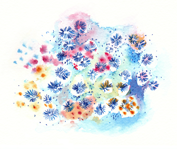 600x504 Novi On The Go Making Thursday Watercolor Coral - Coral Watercolor