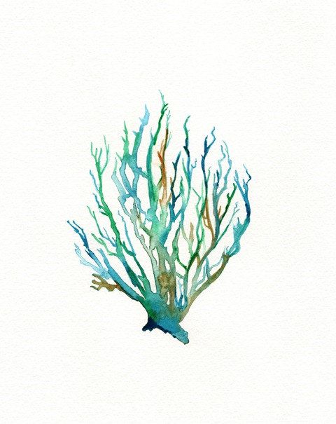 480x605 Wall Art, Watercolor Coral, Coral Art, No. 11 Sea Coral - Coral Watercolor