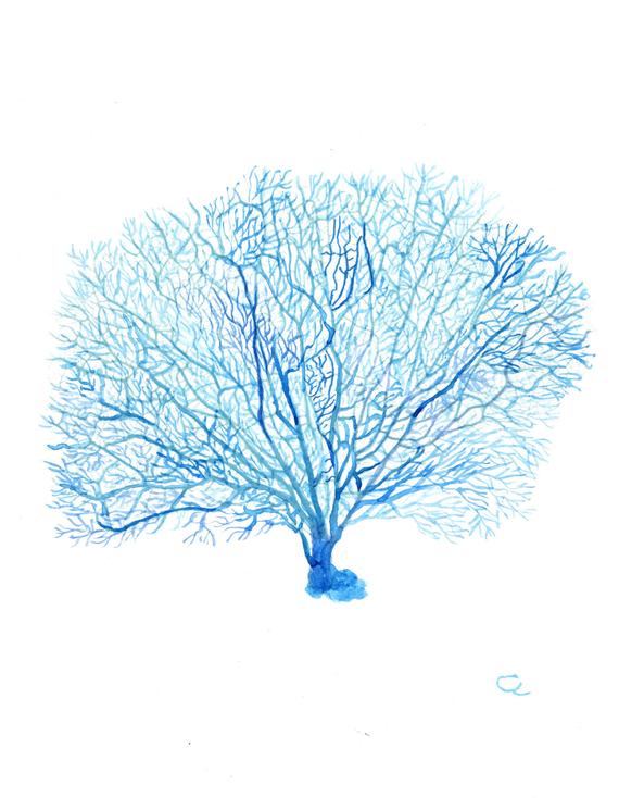 570x734 Blue Coral Watercolor Art Coral Painting Coral Watercolor Etsy - Coral Watercolor