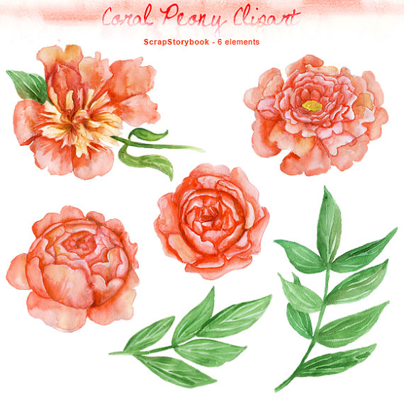 570x570 Watercolor Flower Stock No Background - Coral Watercolor Flowers