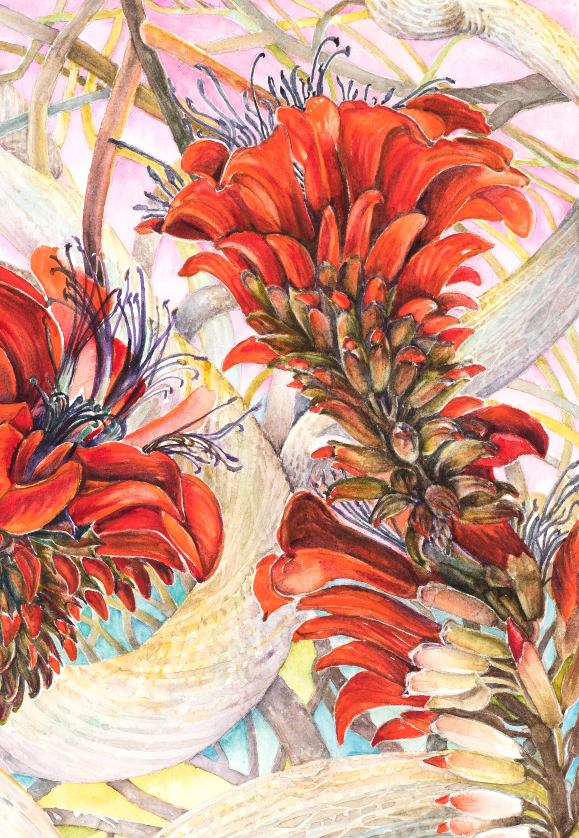 1920x2777 Coral Tree Watercolor (Erythrina Caffra) Painting By Dorte - Coral Watercolor Painting