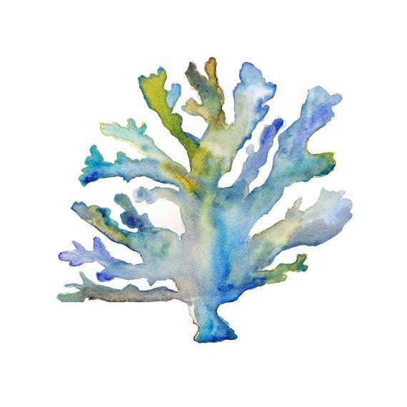 570x570 Coral Watercolor Print. Coastal Art. Beach By Snoogsandwilde - Coral Watercolor Painting