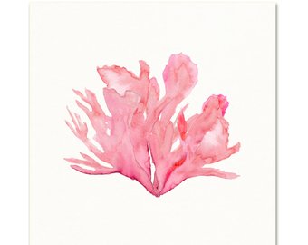 340x270 Coral Amp Seaweed Art Print. Watercolor Coral. Watercolor Sea - Coral Watercolor Print