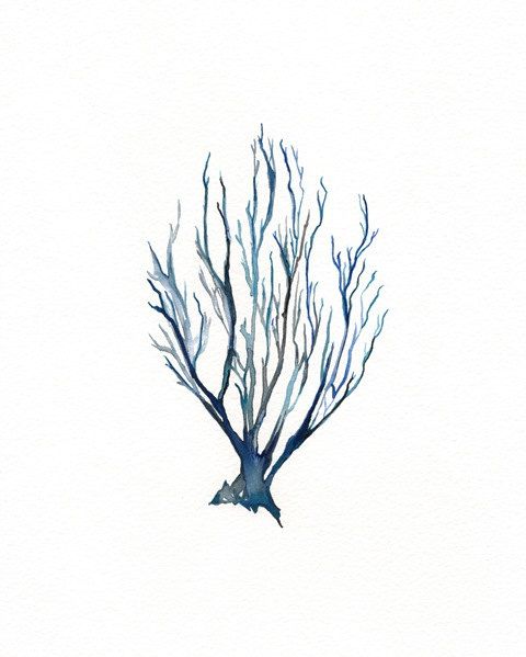 480x599 No.10 Sea Coral Watercolor Print Dark Blue By Kellybermudez - Coral Watercolor Print