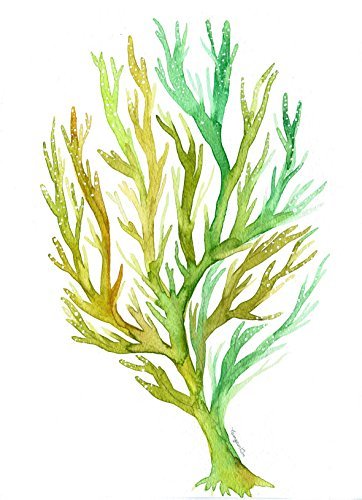 362x500 Green Sea Coral Watercolor Print Wall Art Decor No - Coral Watercolor Print