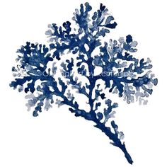 236x236 Sea Coral Ii In Turquoise Watercolor Print - Coral Watercolor Print